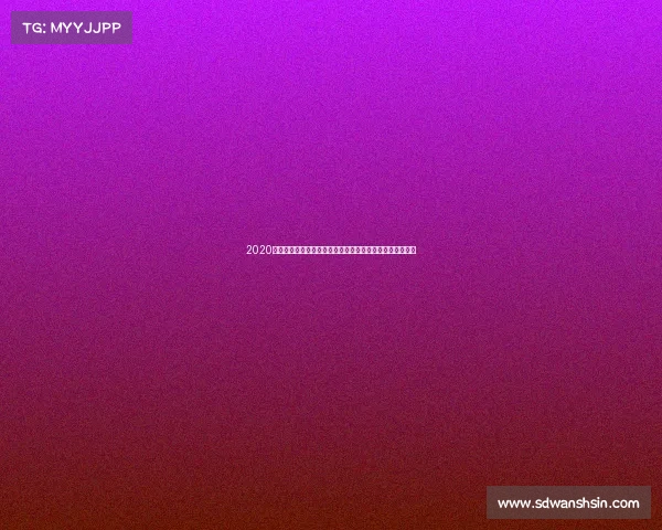 2020年全球汽车赛事时间全览详细赛程安排及重要时间节点分析